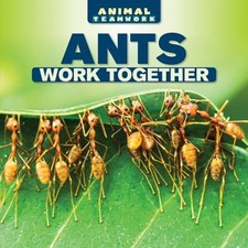 Ants Work Together Hardcover Nora Ellison