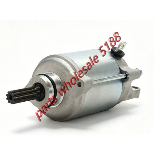 MOTOR ASSY, STARTING