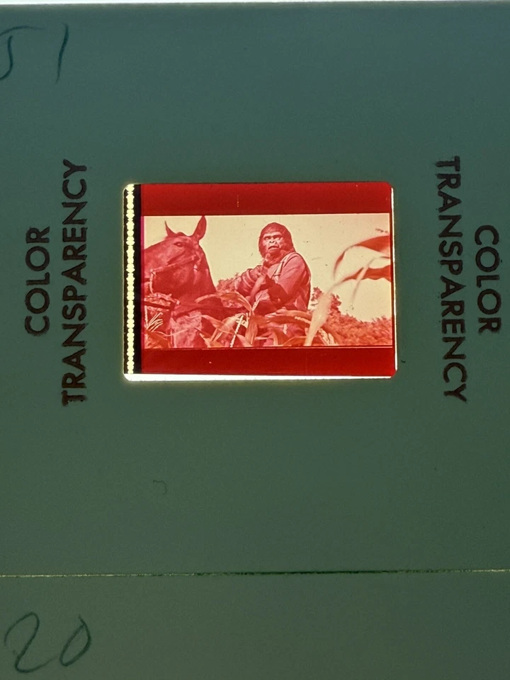 Lote de 7 celdas originales 1968 El planeta de los simios 20th Fox 35 mm Charlton Heston Foto 3 de 4