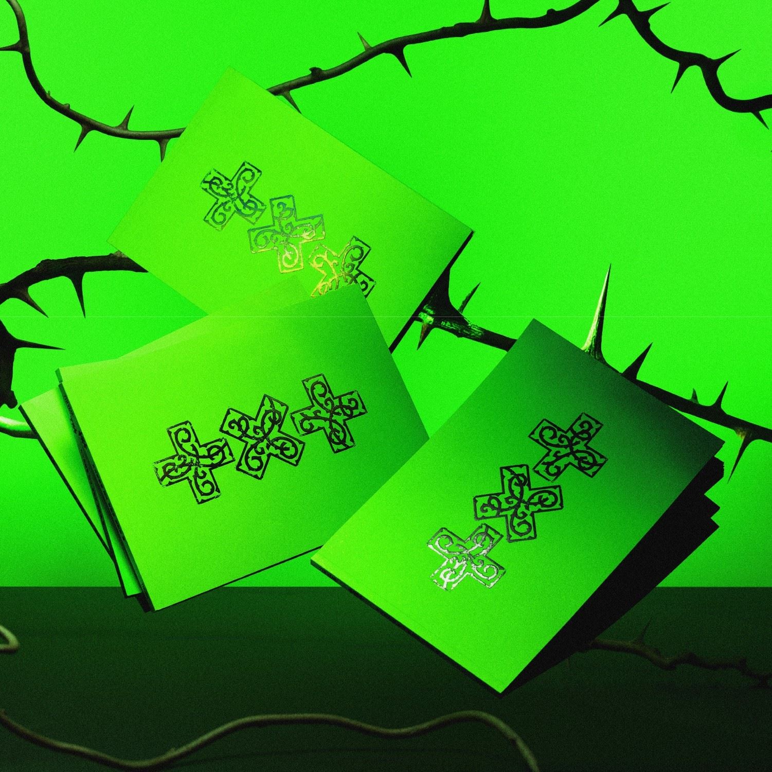 7TH YEAR: A Moment of Stillness in the Thorns (THORN Version) CD Album