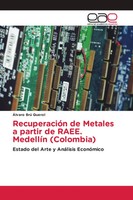 ÁLvaro Brú Querol | RecuperacióN De Metales A Partir De Raee. MedellíN...