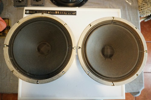 305 Vintage Woofer Speaker Drivers 