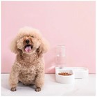 Pet Cat Feeder Bowl Dog Automatic Water Double Bowls Food Wall Corner Save Space