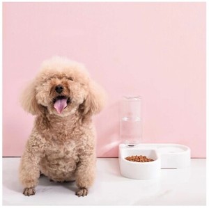 Pet Cat Feeder Bowl Dog Automatic Water Double Bowls Food Wall Corner Sauvegarder Space