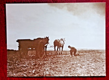 FRANK MEADOW SUTCLIFFE POSTCARDS 1853-1941  The Sutcliffe gallery 1979 - Whitby