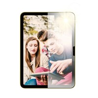 PanzerGlass AntiReflective Protector iPad PG67149