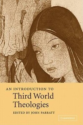 An Introduction to Third World Theologies (Introduction to Religion) - GOOD