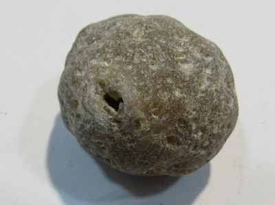 S277 Klapperstein klappert hörbar Flint + Schwamm St. Valery Normandie Dm3cm 28g