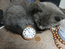 Working Antique 1925 Ball Standard Hamilton 999P Railroad Grade BOC Pocket Watch