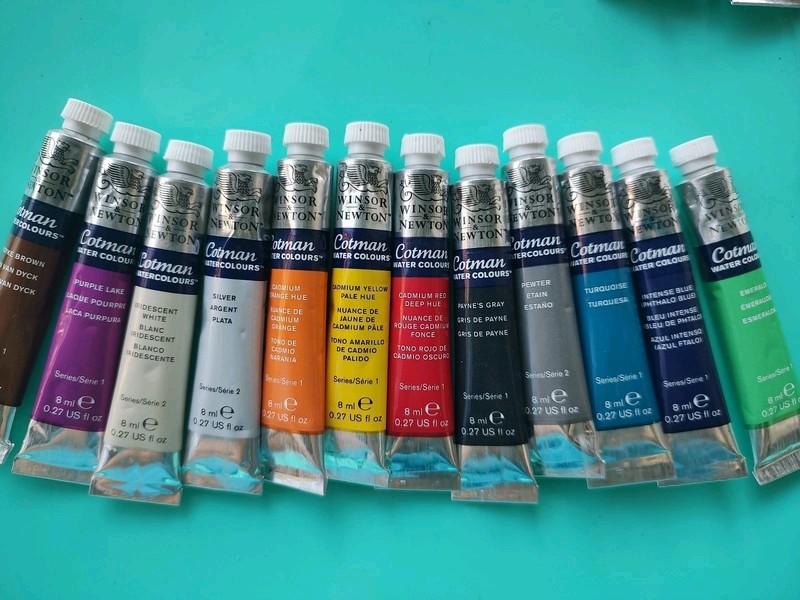 12 New Windsor & Newton Small Cotman Watercolor Paints