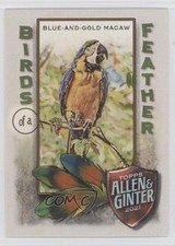 2021 Topps Allen & Ginter's Birds of a Feather Blue-and-Gold Macaw #BOF-4 1ol1
