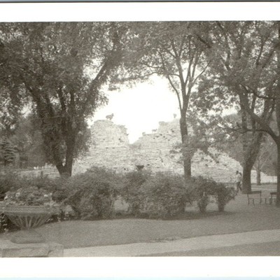 c1940s Unknown Location Zoo Mountain Goats Stone Ruins 5'' Snapshot Photo Urn Vtg