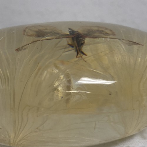 Vintage Amber Lucite Acrylic Butterfly Paperweight 1960s 70s 1970's - Picture 8 of 9
