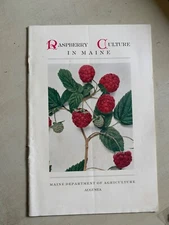 Vintage Booklet RASPBERRY CULTURE MAINE Robert Chandler Agriculture Farming