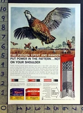 1960 WINCHESTER WESTERN SHOTGUN SHELL HUNT PATRIDGE GROUSE SPORT XPERT AD FC8183