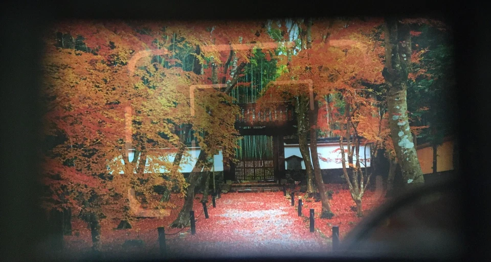 Vintage 500 unit【N. MINT w/Filter】LEOTAX Model G Topcor S 5cm F/1.8 from JAPAN - Image 3 of 4