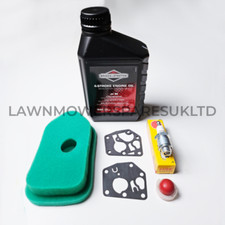 BRIGGS & STRATTON 35 Classic & LS45 PETROL ENGINE WINTER SERVICE KIT