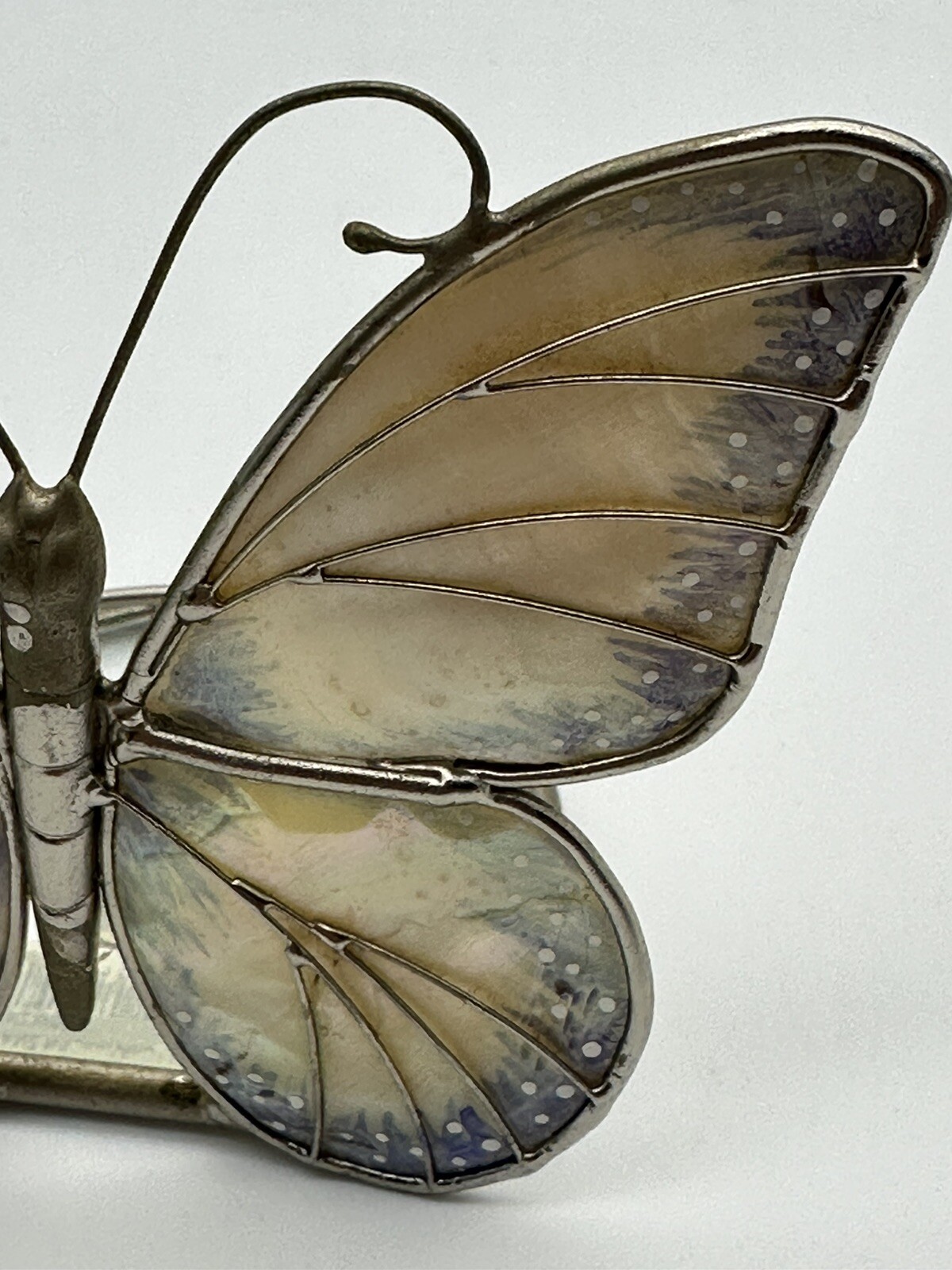 Picture 5 of 12