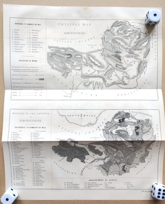 Physical and Geological Map of Somerset - Antique Print - c1860