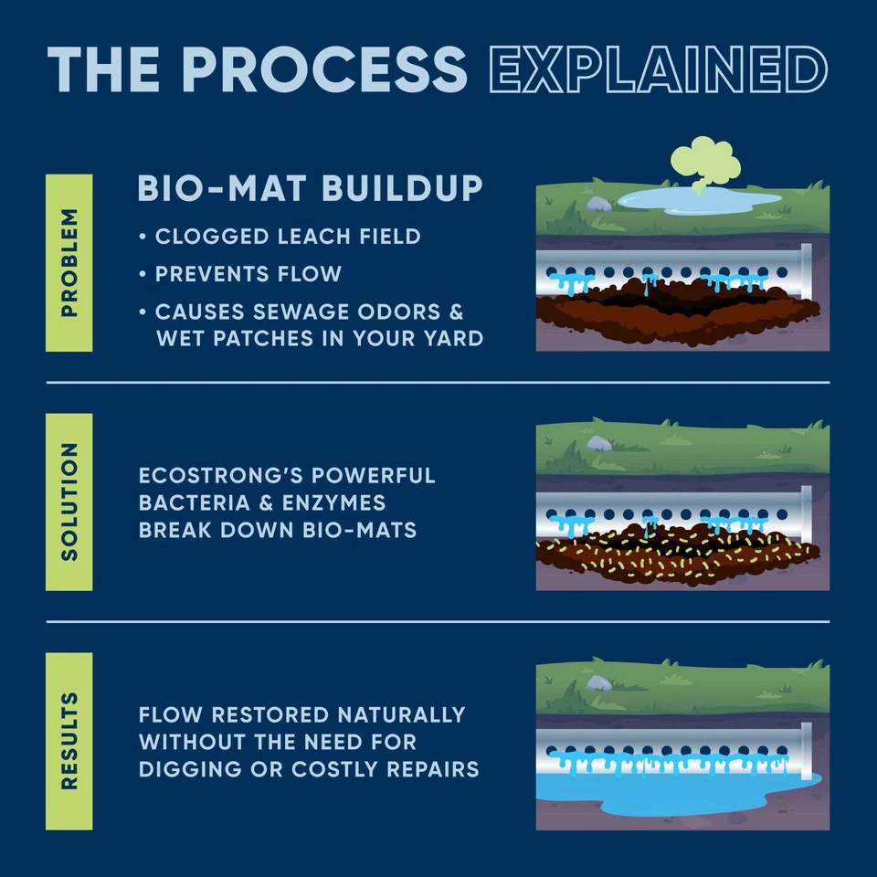 Septic Liberator - Image 4 of 4