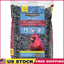 Wild Bird Black Oil Sunflower Seed Premium 40lb No Mess Vitamin Enriched New