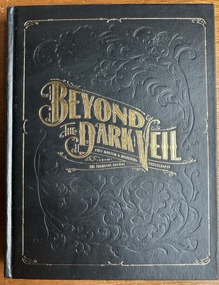 Beyond The Dark Veil 