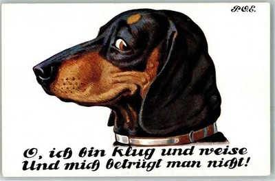 13272953 - signed Engelhard (P.O.E.) Postcard Dachshund