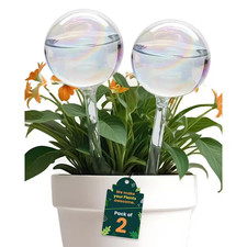 2-Pack Iridescent Glass Self Watering Globes ...