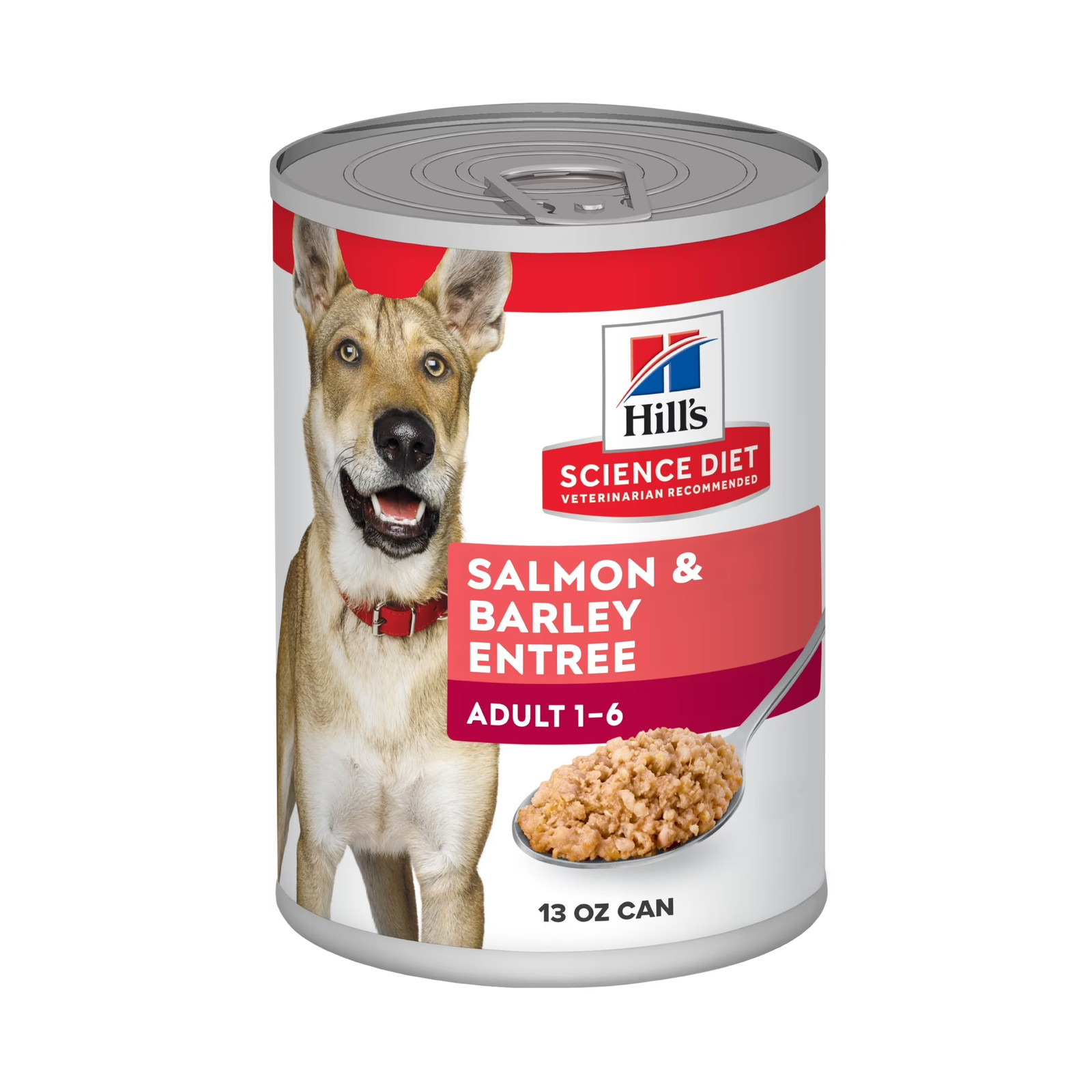 Salmon & Barley Entree Wet Dog Food, 13Oz Can 12Pk
