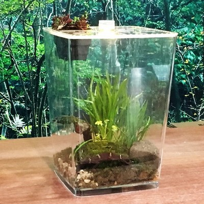 Reptile Enclosure Lives Cage Lizard Frog Pet Snake Terrarium Insect Acrylic Cage