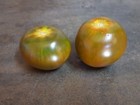 Black Krim Tomato Giant 10000 Seeds