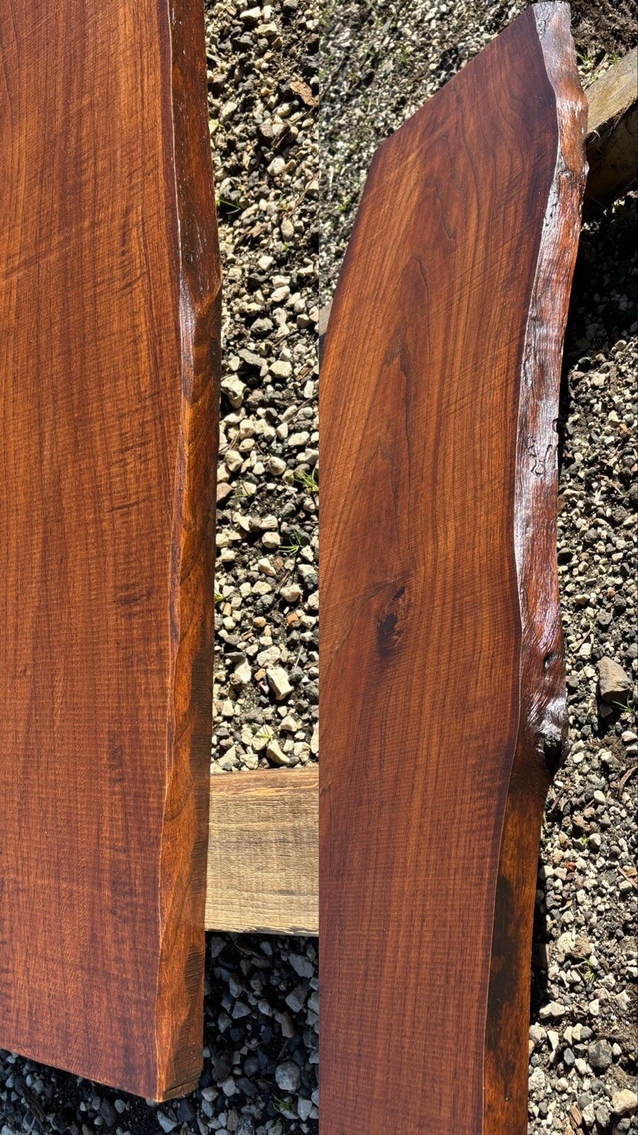 Foto 5 di 6