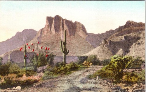 2~HAND COLORED Postcards AZ Arizona CATALINA & SUPERSTITION MOUNTAINS Saguaros - Picture 3 of 5