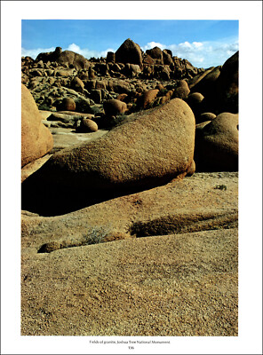 1974 Vintage Print California Desert Joshua Tree Granite Rocks Rock ...