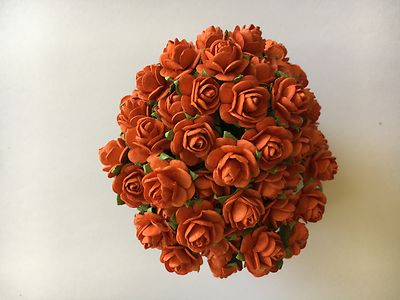 10 ORANGE MAULBEERPAPIER OFFENE ROSEN/BLUMEN 1cm (10mm) und 1,5cm (15mm)