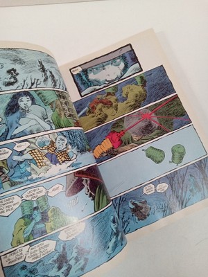 Ronin The Deluxe Edition Hardcover Book Frank Miller, Lynn Varley