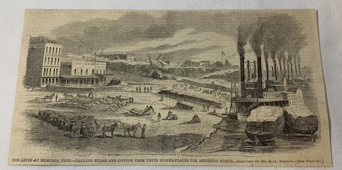 1862 magazine engraving~ LEVEE AT MEMPHIS hauling sugar and cotton ~ Civil War