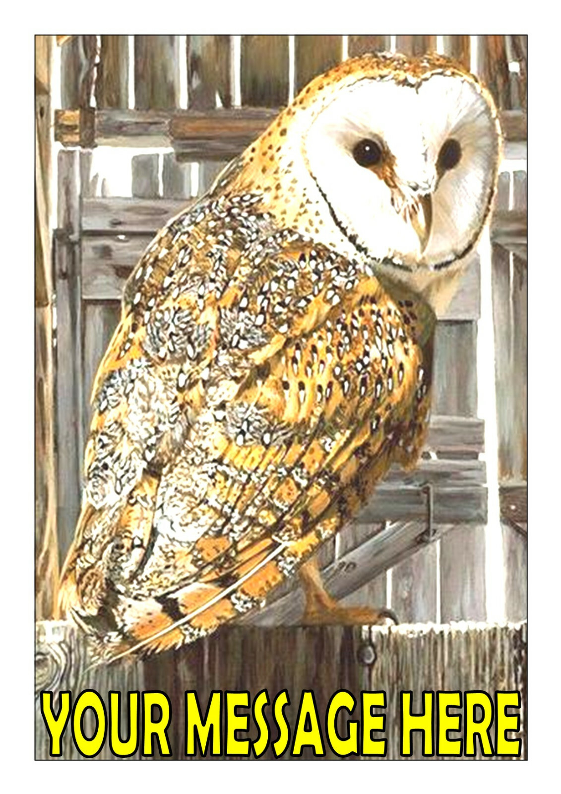 SPOTTED OWL  BIRTHDAY  PERSONALISED CAKE TOPPER A4  EDIBLE ICED/ ICING