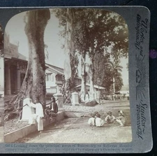 1907, Principal Street of Buitenzorg/Bogor to Bellevue Hotel, Java, Stereoview