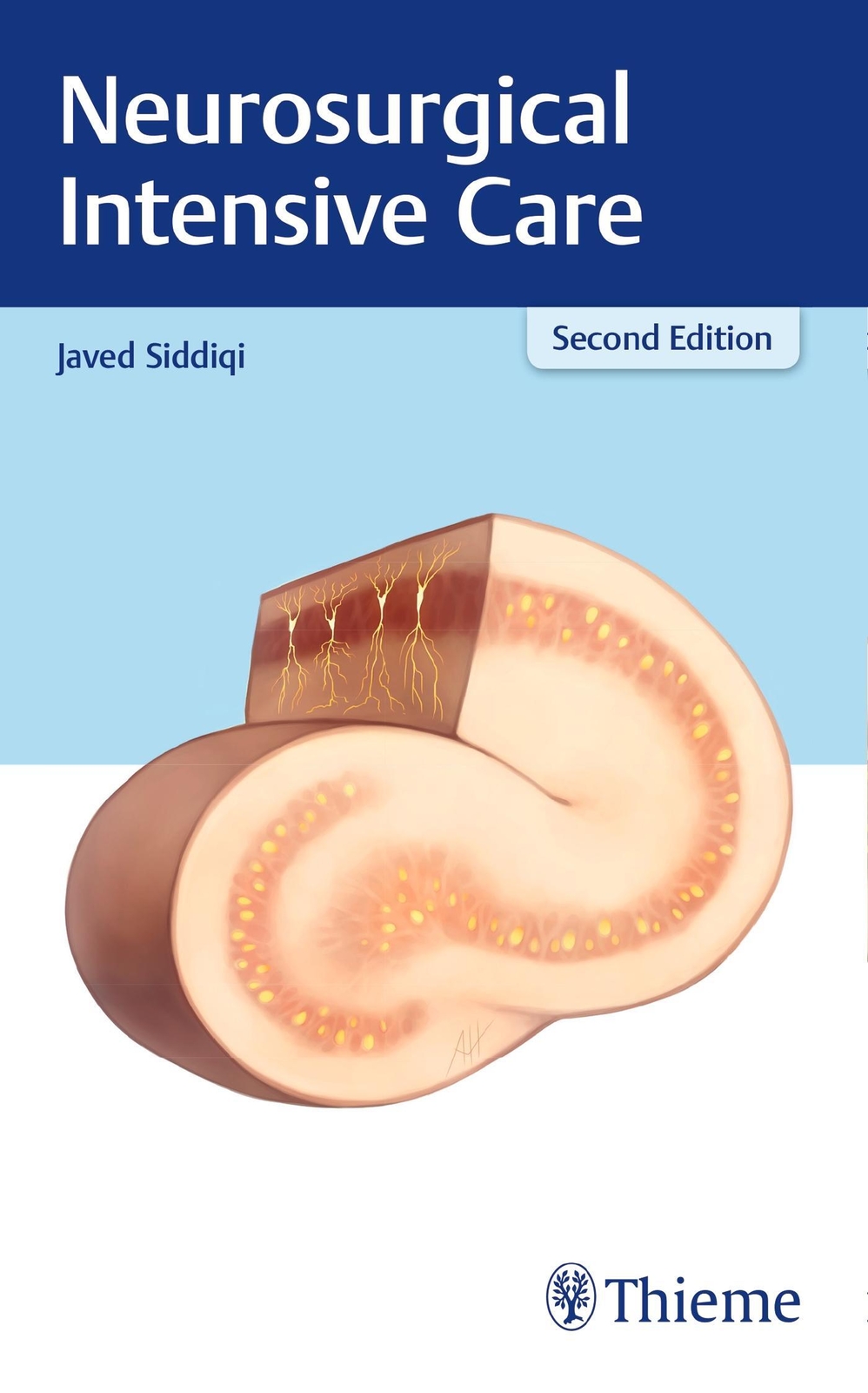 Thumbnail - Neurosurgical Intensive Care | Javed Siddiqi | Taschenbuch | 576 S. |