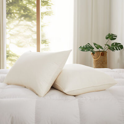 2PCS Bed Pillows 50% Goose Down Feather, 300TC Organic Cotton Shell, Japan Made