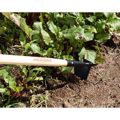 Razor-Back 67126 54 in. Wood Handle Nursery and Beet Hoe 6 W x 3-1/2 L in.