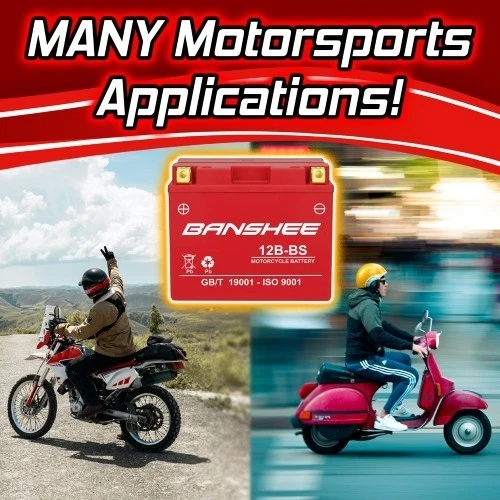 Batería sellada SMF Powersport YT12B-BS para Yamaha 1000 YZF-R1 1999-2003 Foto 3 de 4