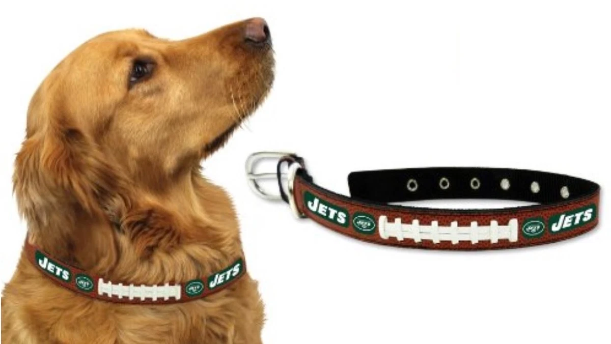 New york jets 2025 dog collar