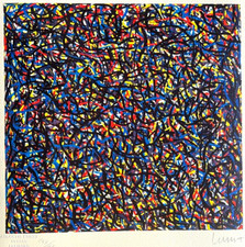 Sol Lewitt Litografia COA originale firmata a penna numerata a mano timbro =