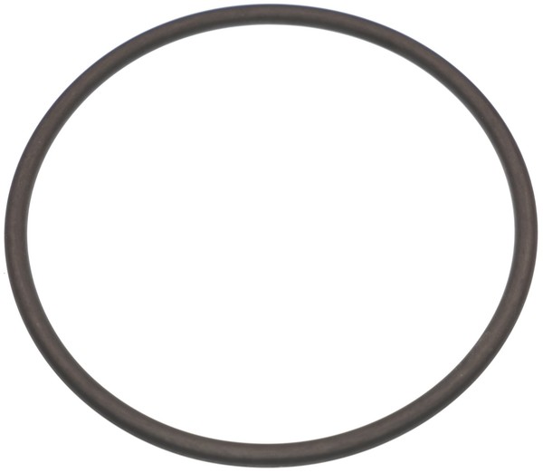 Bmw Motorrad Kraftstofftank Level Sensor Dichtung O Ring 16141341008 Neu Echt-image