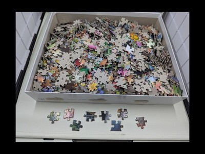 Buffalo Games 2000 Piece Puzzle Tom Wood The Flower Shop Complete w/ Poster