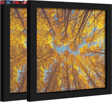 8x8 Picture Frame in Black Set of 2 Display Pictures 8  x8  Wall Mounting Fram