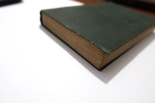 Wild Wales, George Borrow, 1854 Obsevations, C1920 Print Green - Bild 16 von 20