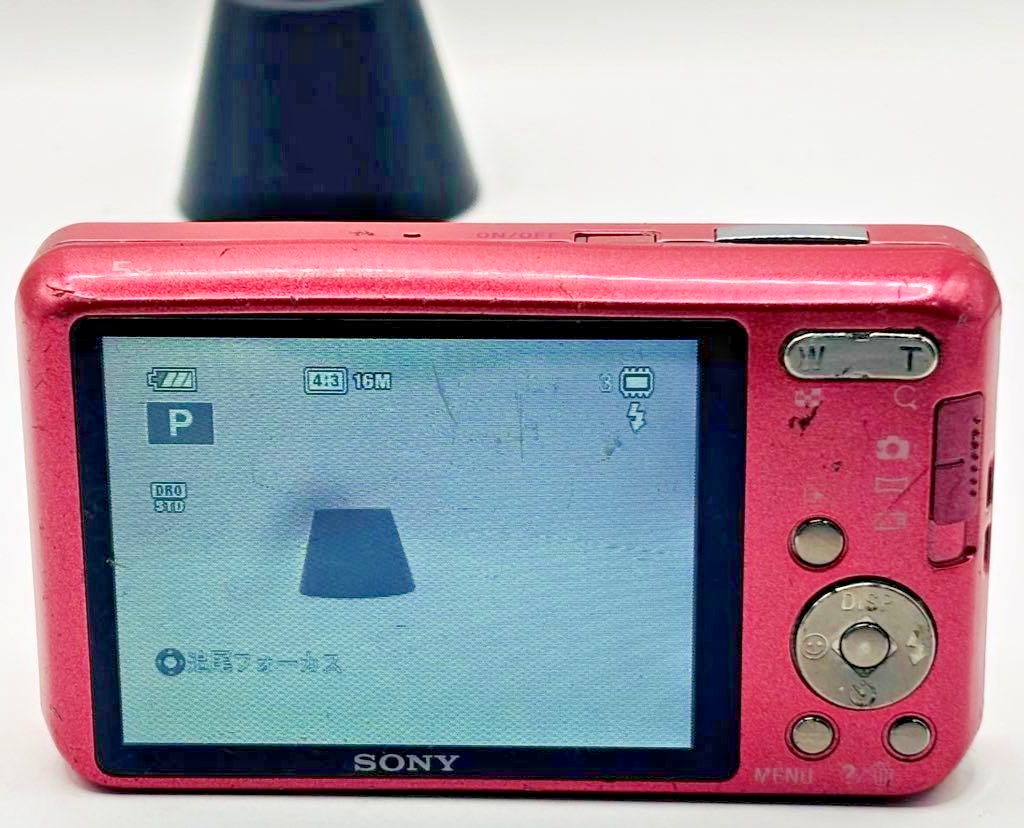 SONY Cyber-shot DSC-W570 Pink 5x Zoom 16.1 MP Digital Camera